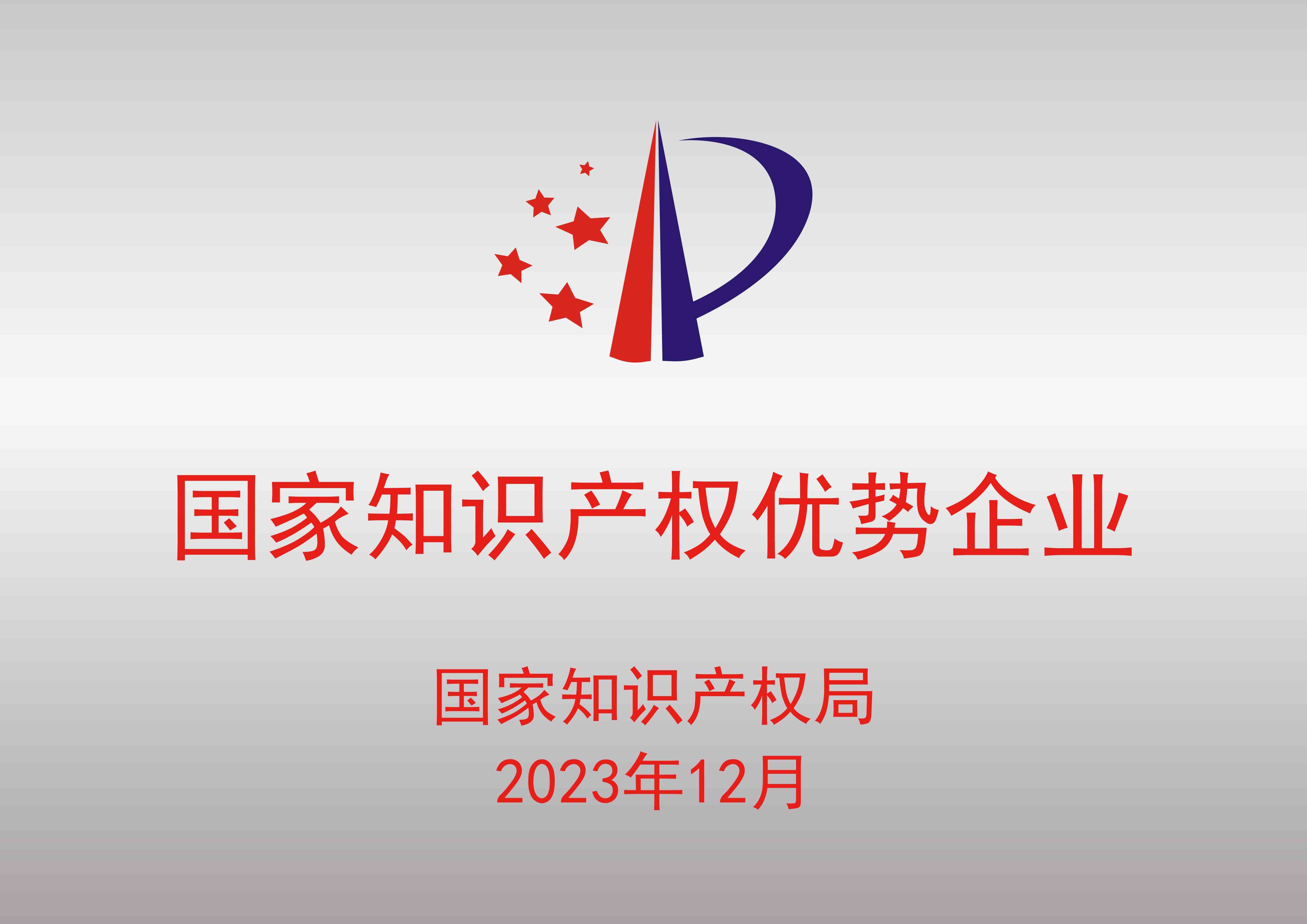 National Intellectual Property Advantage Enterprise